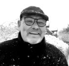 Einsamer Wolf sucht Dich ( W )