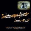 Nebenjob als Katzensitter zu vergeben! Katzenbetreuung - Katzensitting - Tierbet