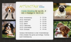 Hunde-Fotografie für nur 29,- € - Aktionstage in verschiedenen Städten (Berlin/B