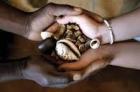 True Spell Casting Services, Top Spell Casters +27717045485