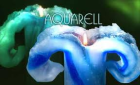 Candela Lotus Aquarell Kerzen 28 cm Angebot