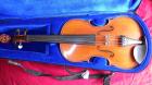 Viola 5-Saiter mit Vampirkopf V. Gliga 2024