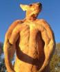 Fitness wo immer sie wollen