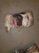 Ratten TK Frostfutter 