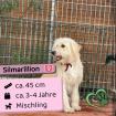 Silmarillion (w), 3-4 Jahre, 45 cm, Slowakei