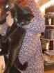 BKK Bombay mix 2x schwarz