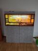 Bartagame mit Terrarium und Unterschrank