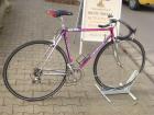 (80) 16 Gang 28 Zoll PINARELLO Rh 53 Made in Italy
