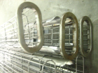 Oval filter cage