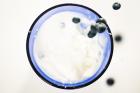 Joghurt sehr gut für die Biofreunde