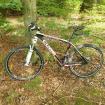 Cube Reaction GTC Carbon MTB  26