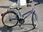 (12) 7 Gang Rücktrittsbremse 26 Zoll Rh 45 PEGASUS Exclusiv Modell