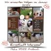 Welpe Kleinhund Biewer Yorkshire, Malteser, Chihuahua, Shihtzu