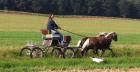 Gut gefahrenes Classic-Ponygespann 