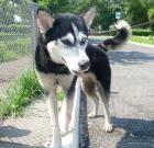 Fiona sucht dringend ein zu Hause