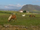 Island erleben und herrliche Tage im Sattel verbringen