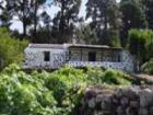 Ferienhaus Finca Icod de los Vinos auf Teneriffa