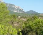 LANDHAUS  in Spanien / LORCA