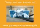 Halterung Schutzhülle für einen Parkausweis