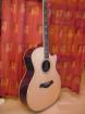Top Taylor Akustikgitarre