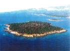 Schöne Insel vor Halkidiki/Griechenland