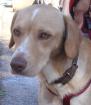 Sandy hat einen tollen Charakter