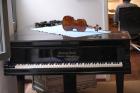 Steinweg Nachfolger, 1,80 m Flügel um 1900