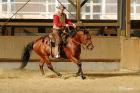 Bosal, Mecate, Bit, Westernsattel, Rope,Sporen,Halstuchringe,etc.