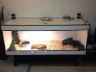Boa c.c. Inkl Kunststoffterrarium 180x70x70