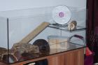 Naggerterrarium 1,00m x 0,4m plus Etage: 0,24m x 0,4m