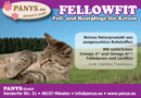  Katzen -  Fell und Hautpflege für Katzen   