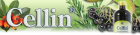 Wer hat Interesse an einer Produktpräsentation im Raum Dresden?
