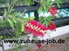 Selbst.Nebenjob von zuhause aus
