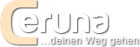Gratisgespräch bei Ceruna