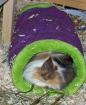 Kuschelsachen und mehr für Meerschweinchen in der Vorratsecke