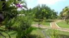 Ayurveda Rejuvenation-kur mit Vollpension und Yoga in Sri Lanka - 2 Wochen