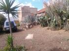 Urlaub auf Teneriffa-SUED/Privatfinca-Abschalten