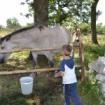 Landurlaub im Gargano, Italien