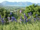 Golf-Urlaub Mallorca