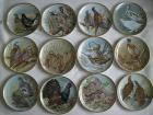 Sammlerteller,Wildvögel der Welt,komplette Serie,Limoges,Franklin Porzellan