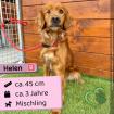 Helen (w), 3 Jahre, 43 cm,