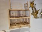 Vogelfalle, Vogelkäfig, Zuchtbox für Stieglitz, Kanarien Gimpel