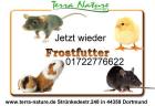 Frostfutter für Reptilien Babymäuse -Mäuse -Ratten klein mittel Groß u. XXXL 500