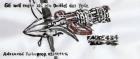 FALKE 434 GE will mehr 11.11.16 Original Meierhof