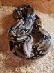 Dringend 1.0 Boa Constrictor Constrictor Surinam