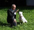 Private Hundebetreuung / Dog Sitting