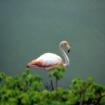 Galapagos Große Kreuzfahrt mit MS SANTA CRUZ, 10 Tage