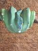 Morelia viridis 1,0  NZ 2024