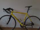 IDEAL Onroad Rennrad mit TOP-Zubehör 55 cm Rahmenhöhe (L)