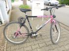 (183) 21 Gang GIANT 26 Zoll RH 54